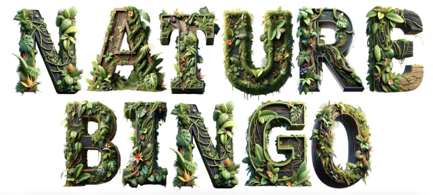 Nature Bingo